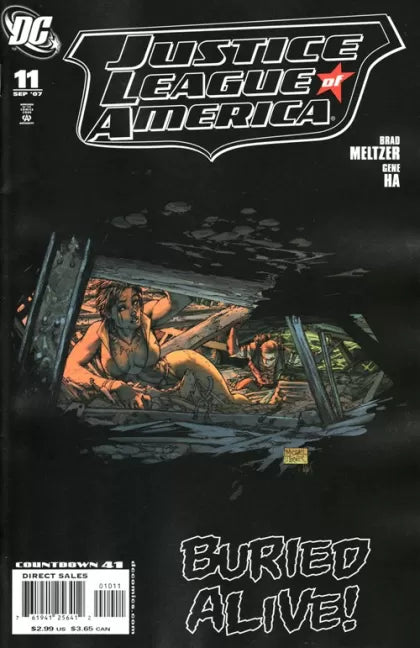 Justice League of America, Vol. 2 #11 (Michael Turner & Peter Steigerwald Variant Cover)