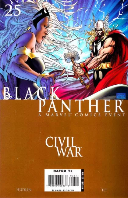 Black Panther, Vol. 4 #25 (Michael Turner Regular)