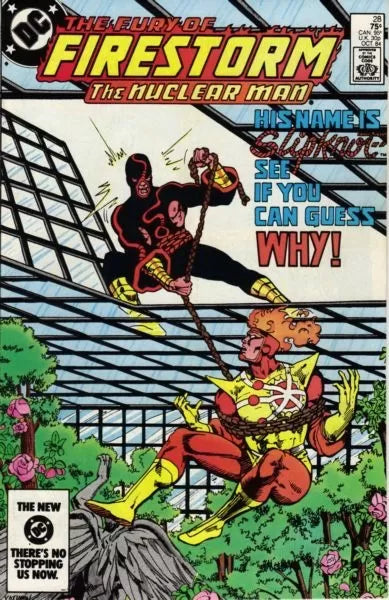 Firestorm, the Nuclear Man, Vol. 2 (1982-1990) #28 (Direct Edition)